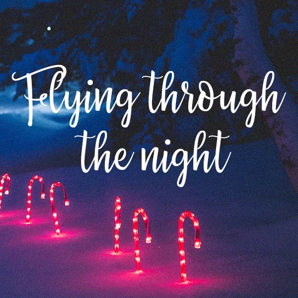 Flying through the night