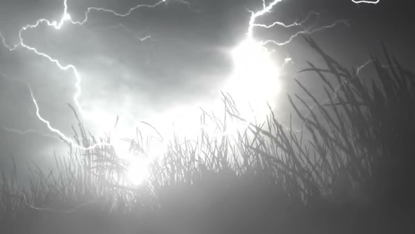 Lightning and grass