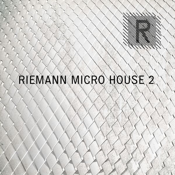 Riemann Micro House 2