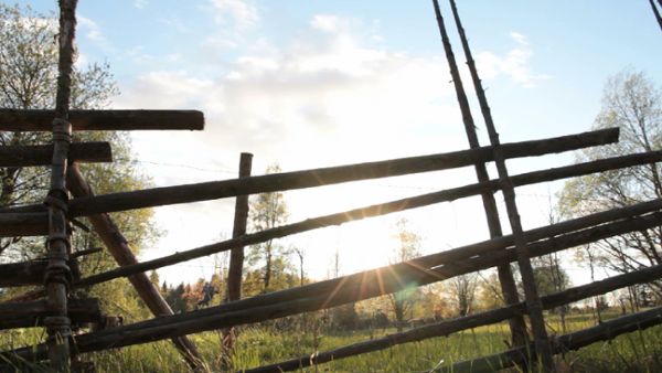 Behind the wooden fence