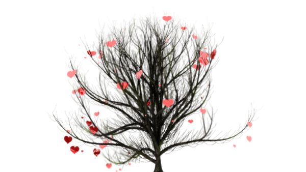 Hearts on a tree