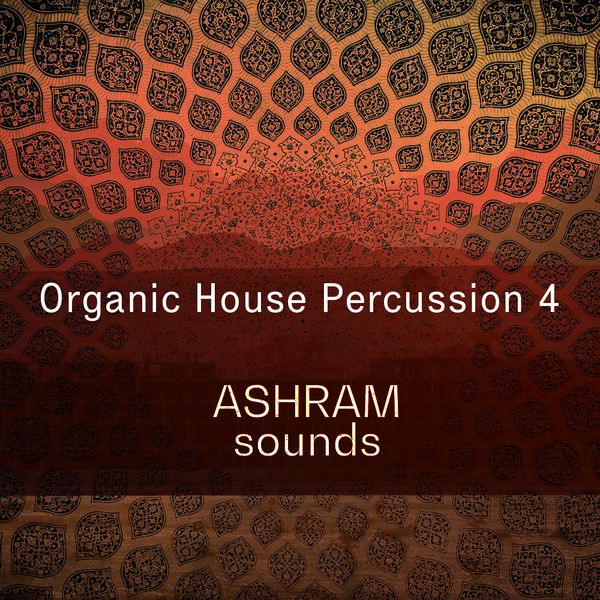 Organic House Percussion 4