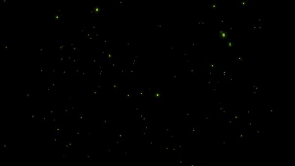 Fireflies